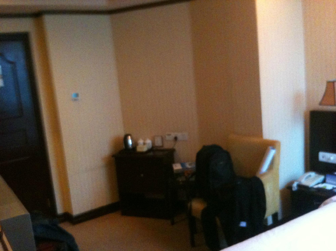 深圳维也纳酒店国际店主图