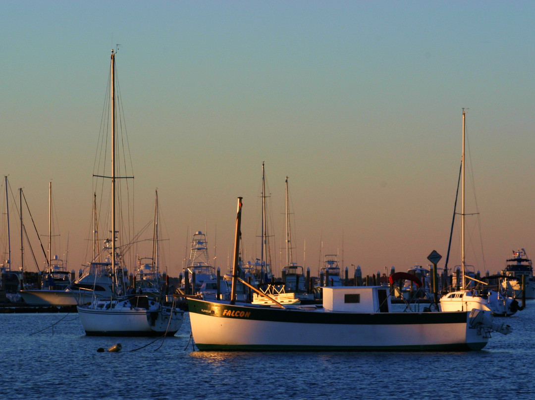Eco Tours & More-圣奥古斯丁必去景点