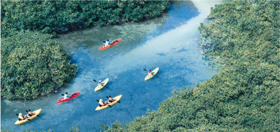 Mangrove Center-Kralendijk必去景点