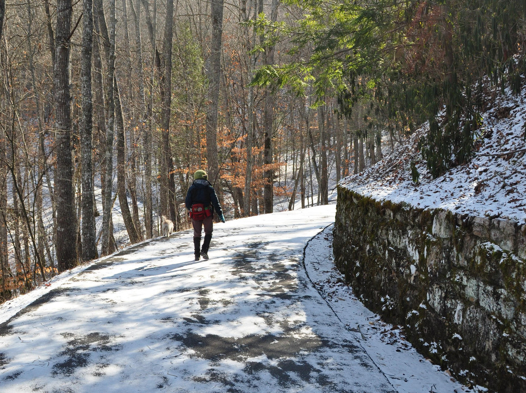 Hungry Mother State Park-Marion必去景点