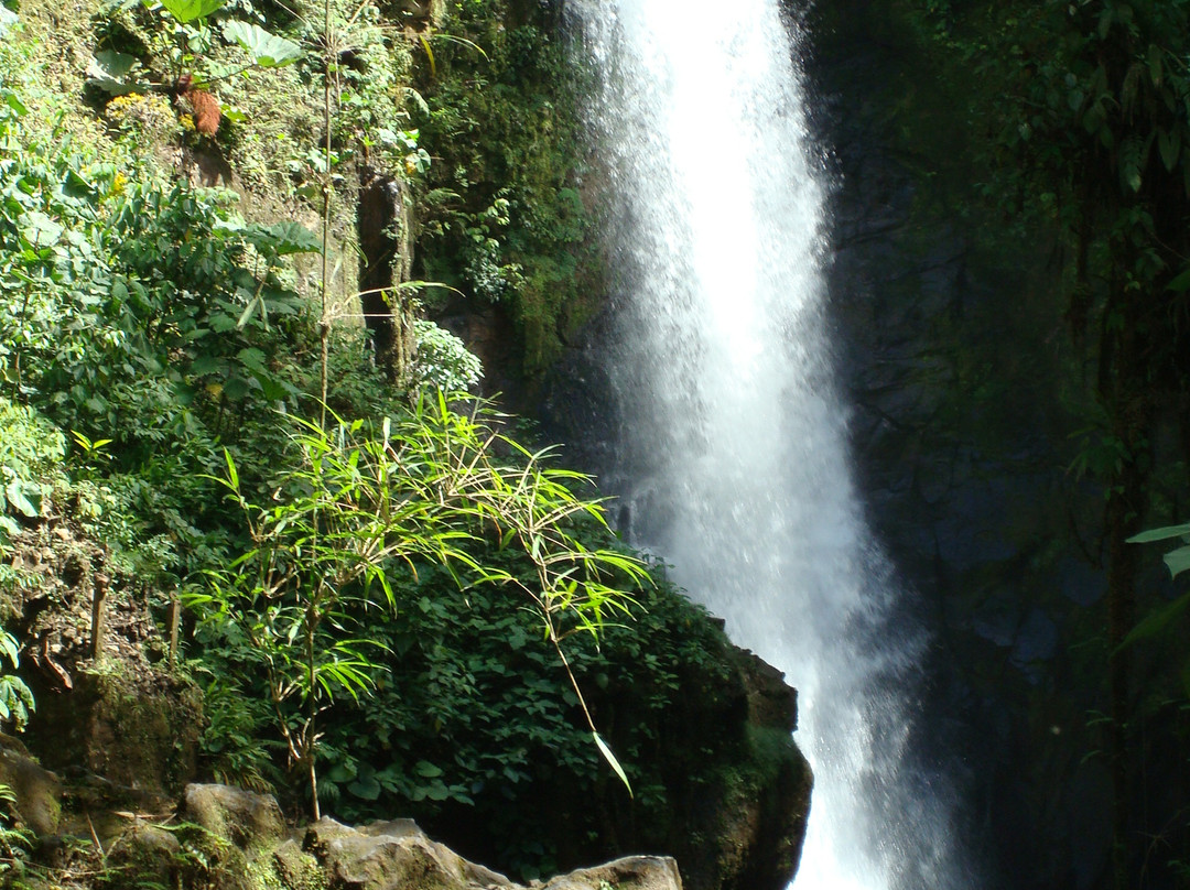 Costa Rica Delights Day Tours景点图片