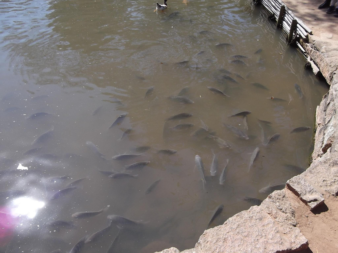 Fazenda do Chocolate-伊图必去景点