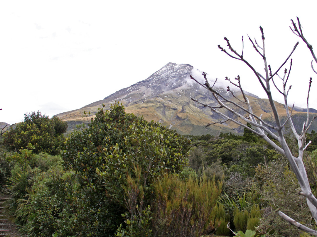 Mount Taranaki景点图片