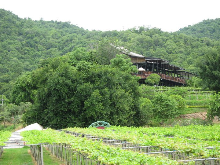 华欣葡萄酒庄园-华欣必去景点
