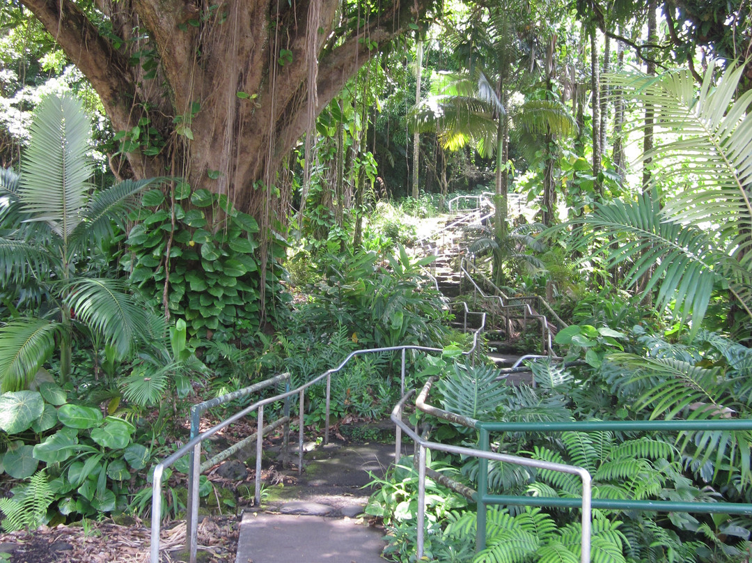 瓦伊鲁库河州立公园-希洛必去景点