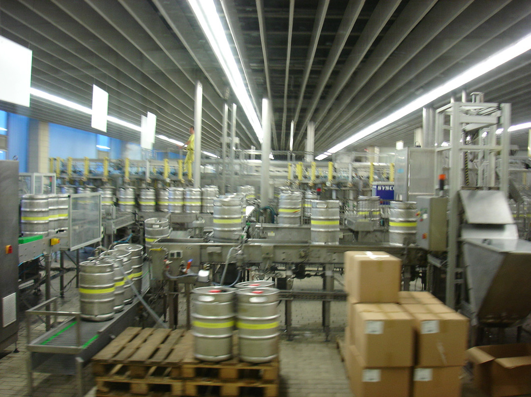 Warsteiner Welt景点图片