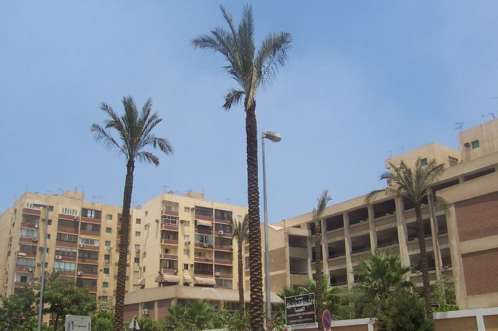 Egypt Daily Tours-开罗必去景点