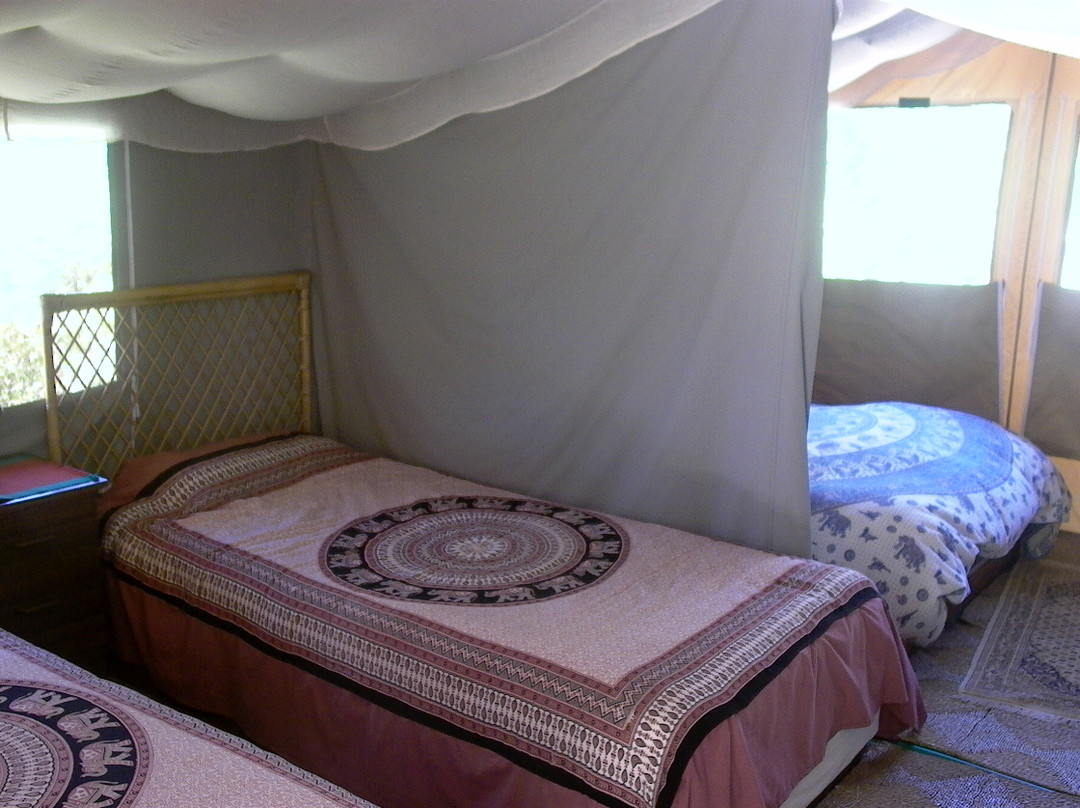 Bharatralia Jungle Camp景点图片