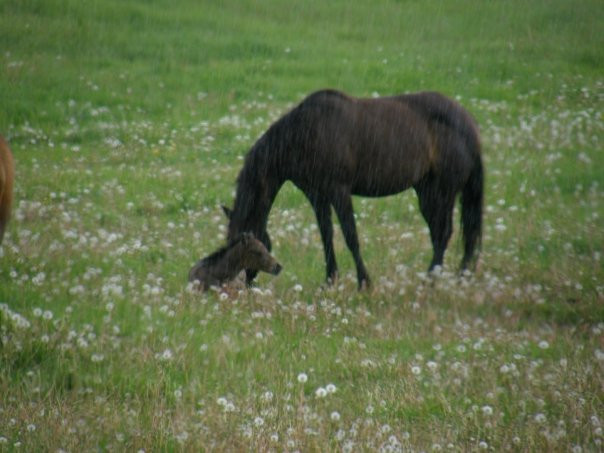 天鹅谷旅游攻略图片