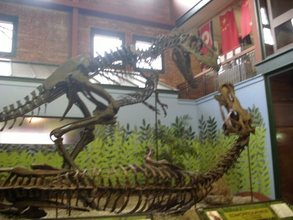 Museum of World Treasures-威奇托必去景点