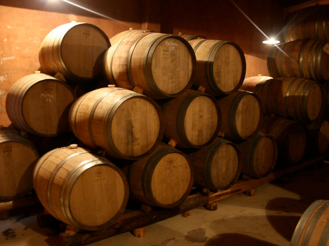 Bodega Hacienda del Plata景点图片