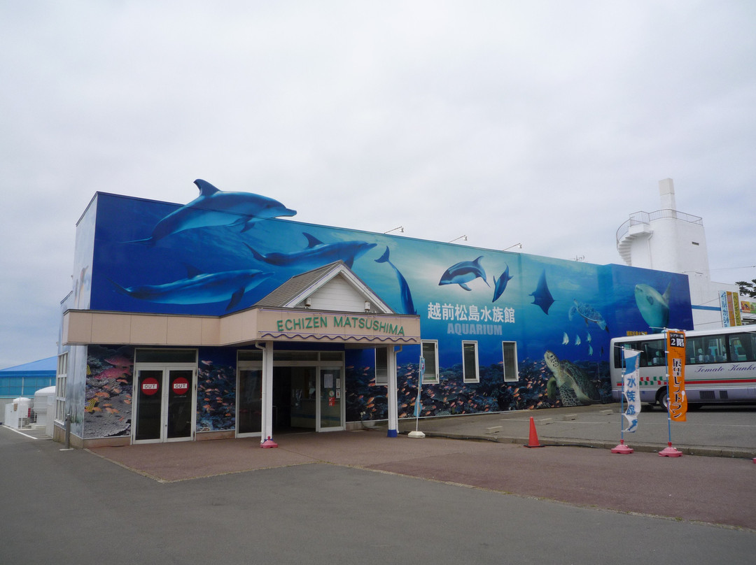 Echizen Matsushima Aquarium景点图片