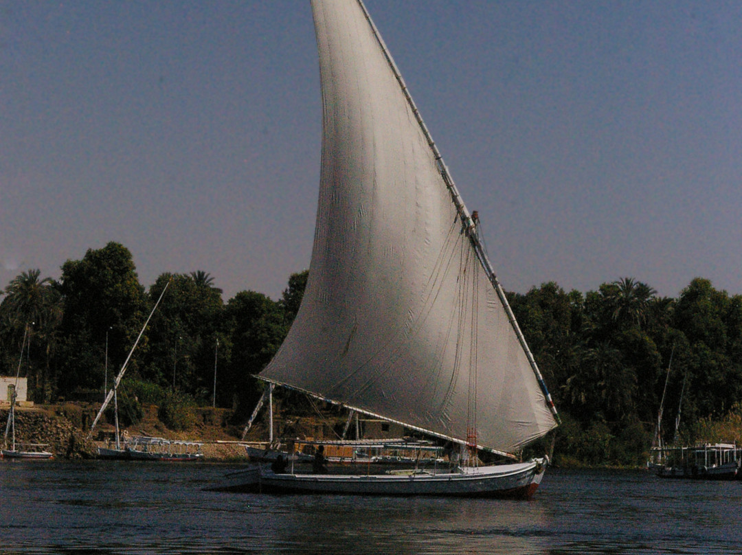 Elephantine Island-亚斯文必去景点