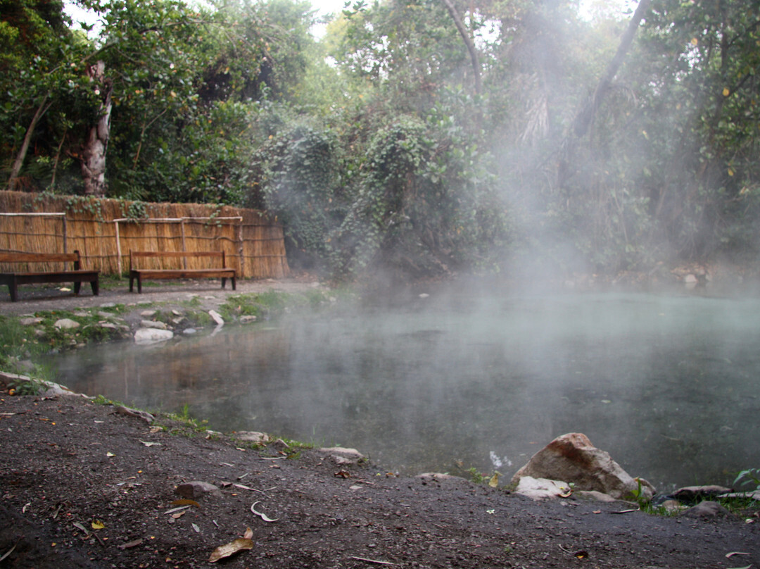 Kapishya Hot Springs景点图片