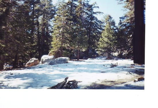 棕榈泉空中缆车-棕榈泉市必去景点