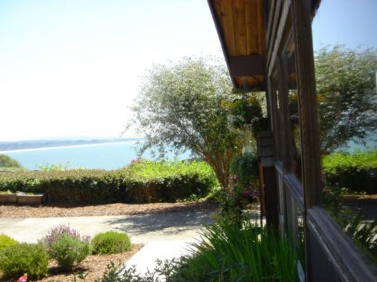 Whalesong House主图