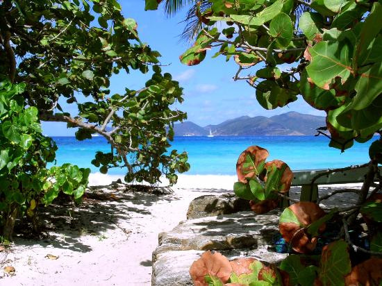 Smuggler's Cove-托土拉必去景点