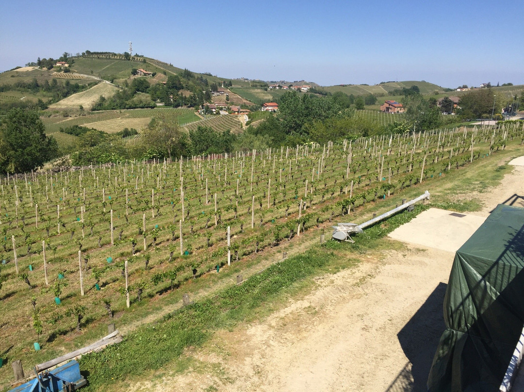 Azienda Agricola La Trava