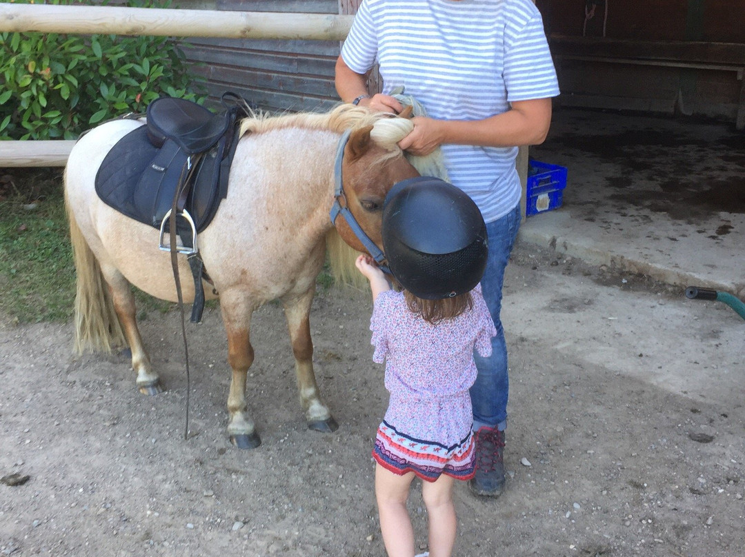 Centre Equestre de Taravas景点图片