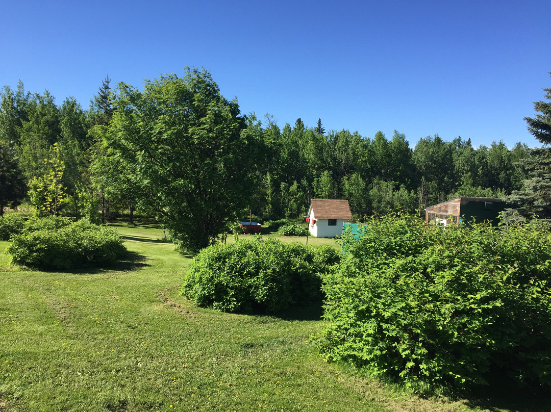 Wild Country Gardens