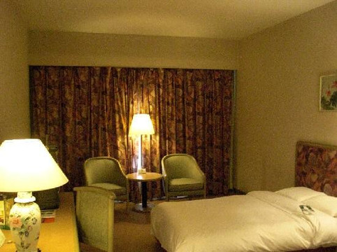 武汉美联都市假日酒店主图