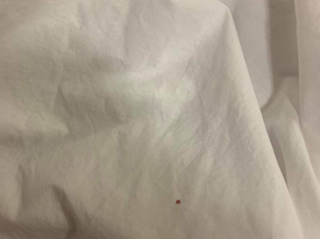 Days Inn by Wyndham Plattsburgh主图