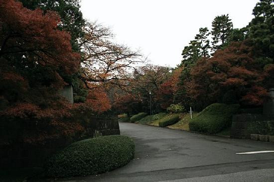 皇居-千代田区必去景点