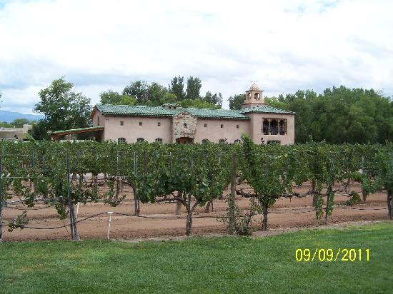 Casa Rondena Winery-阿尔伯克基必去景点