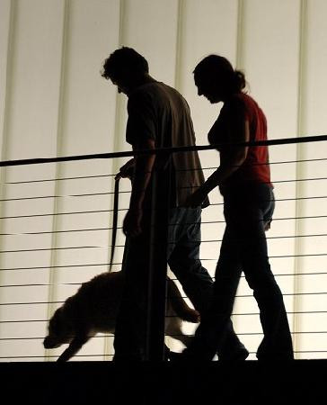 纳尔逊艾特金斯美术馆-堪萨斯城必去景点