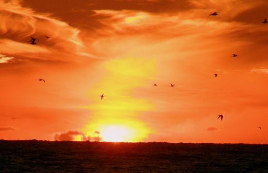 午休海滩-西耶斯塔岛必去景点