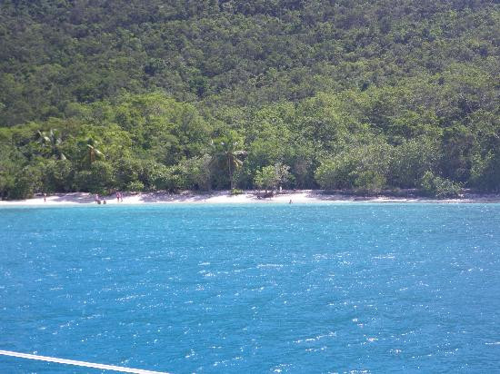 Jester Sailing Adventures-圣 托马斯必去景点