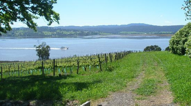 Valleybrook Wine on Wheels Tours-朗塞斯顿必去景点