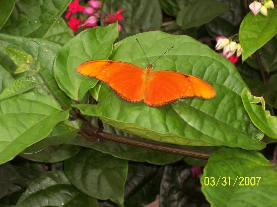 Callaway Resort & Gardens-Pine Mountain必去景点