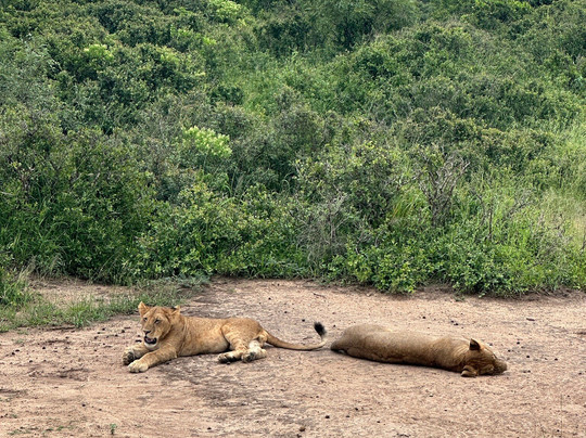 Usambara Expeditions-Dar es Salaam必去景点