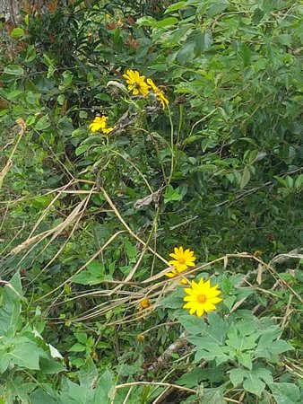 Bomod-Ok (Big) Falls-萨加达必去景点