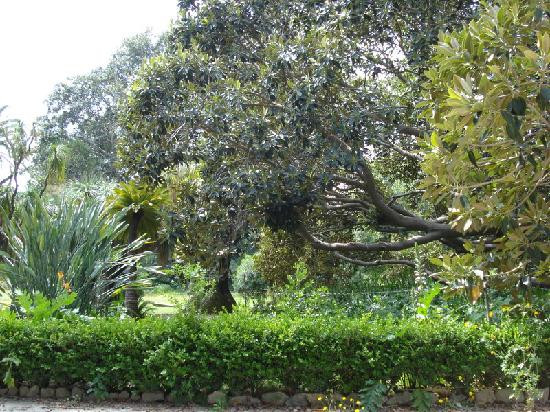 Villa Malfitano-巴勒莫必去景点