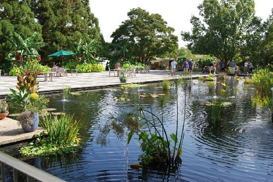 U.S. National Arboretum景点图片