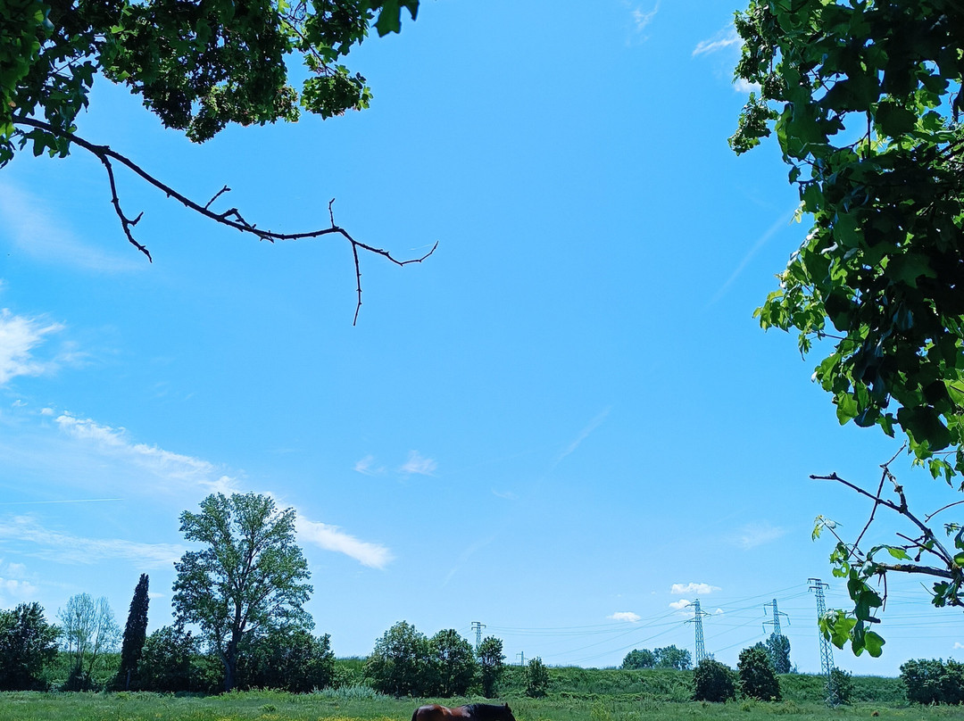 Agriturismo Parco Della Chiana-Sinalunga必去景点