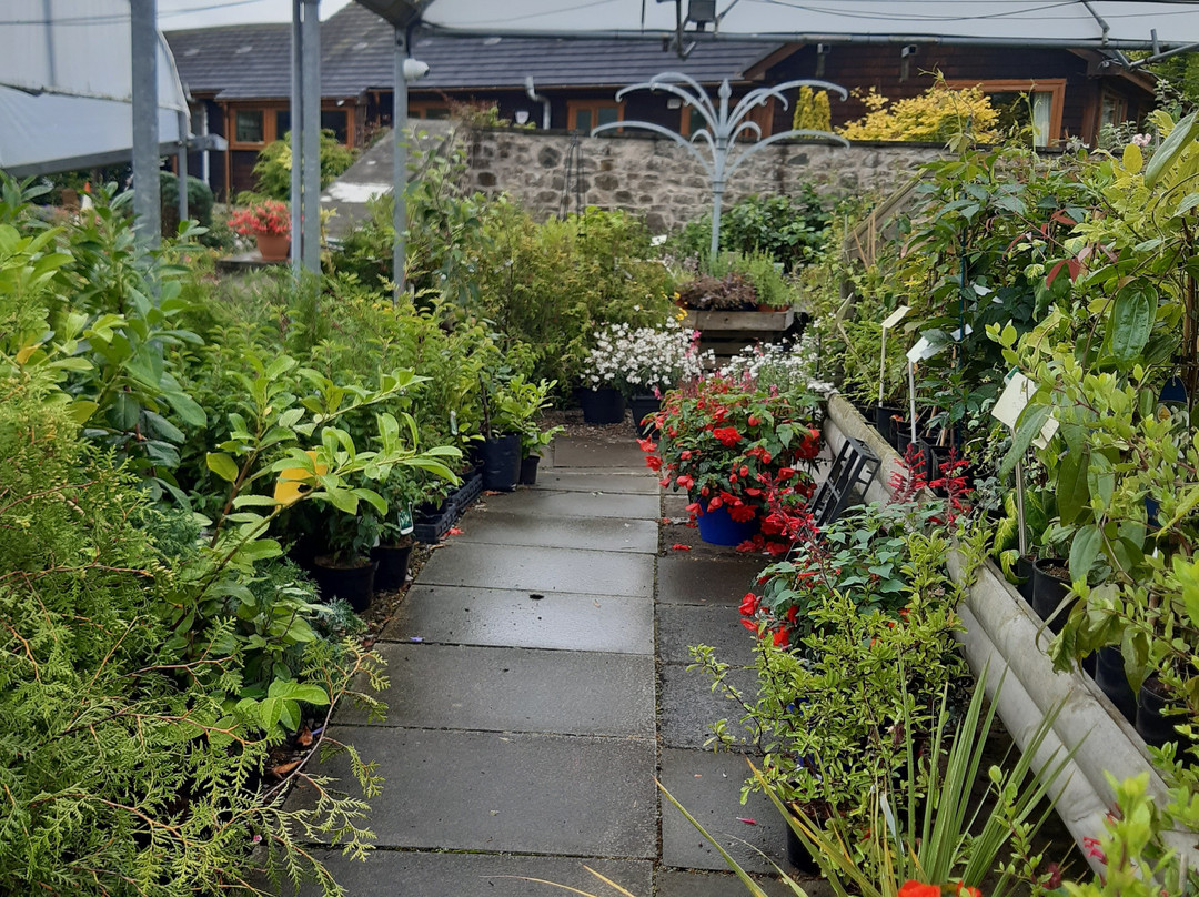 Mill Garden Centre