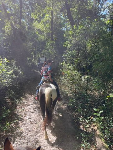 Cactus Jack's Trail Rides & Farm Tours-奥卡拉必去景点