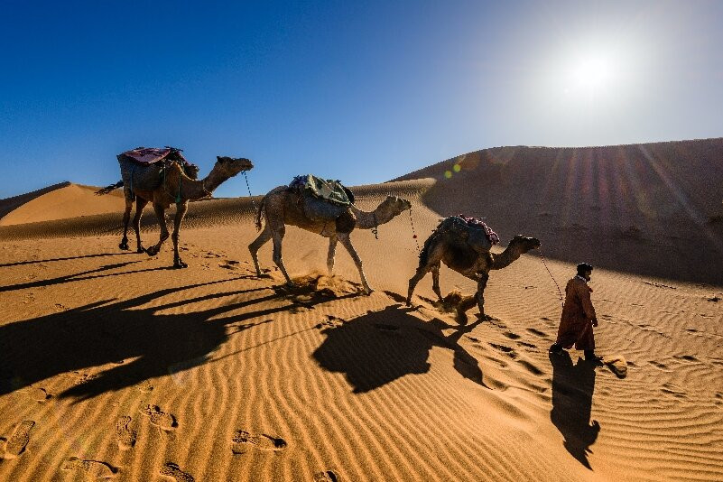 Morocco Experience Trips-卡萨布兰卡必去景点