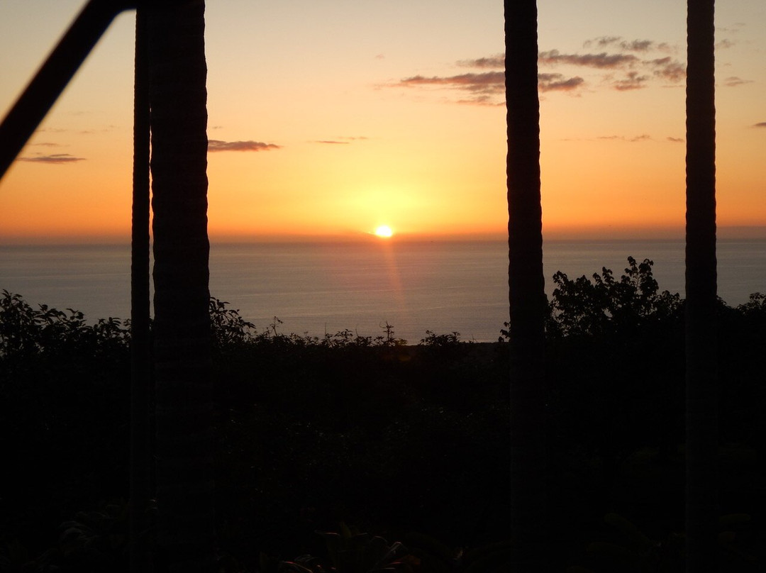 Kane Plantation Guesthouse主图