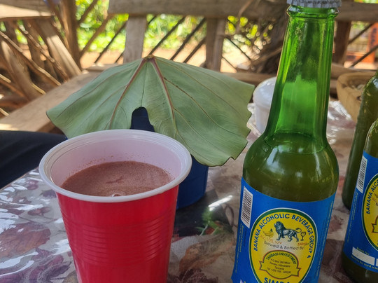 WINNERS EXPEDITIONS - TOURS AND SAFARIS Co LTD-莫西必去景点