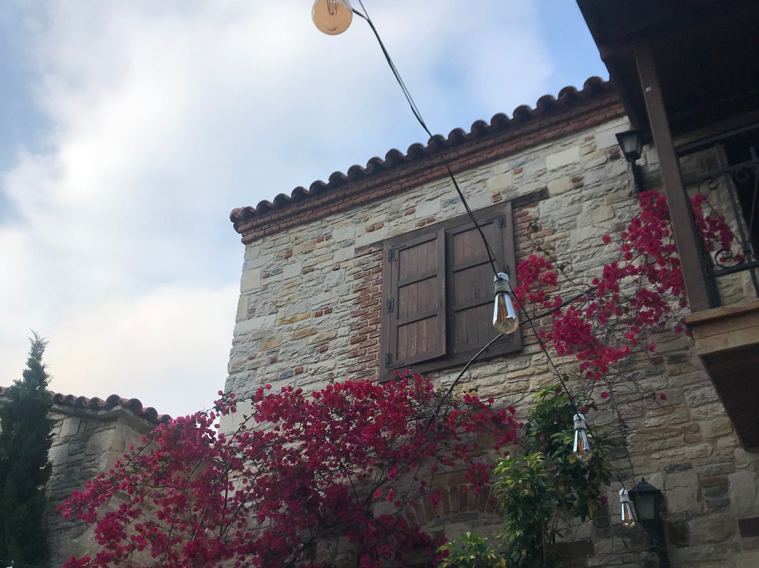 Tannery Garden | Old Town Tanneries-库萨达斯必去景点