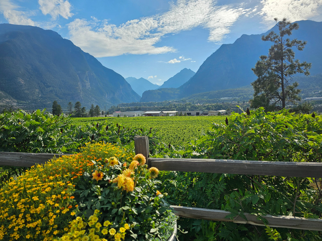 Fort Berens Estate Winery-Lillooet必去景点