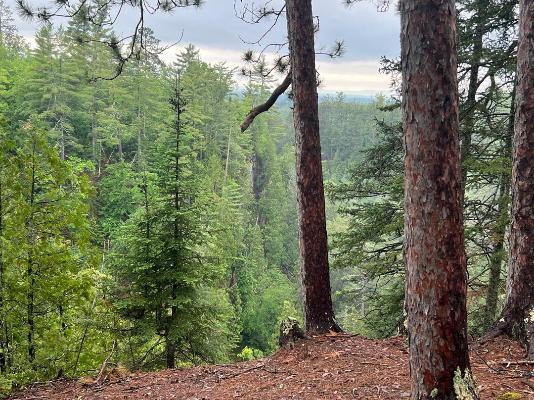 Pattison State Park景点图片