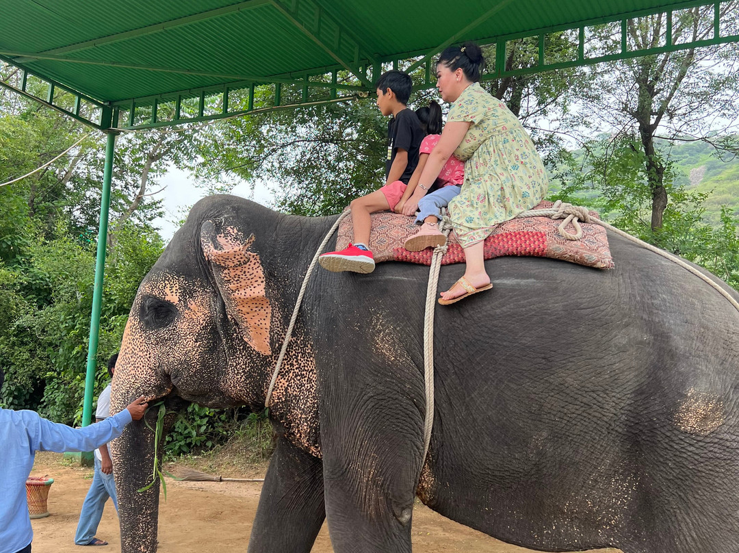My Elephant Trip景点图片
