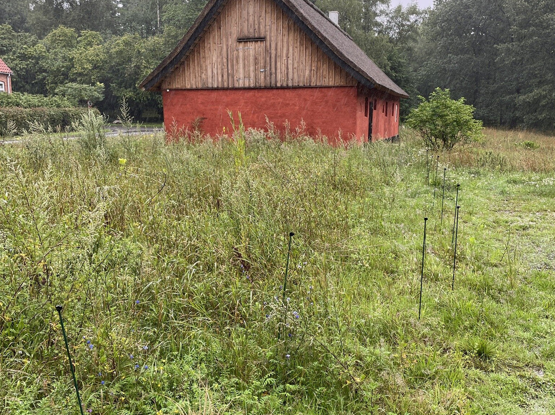 Flagermusehuset-Gudhjem必去景点