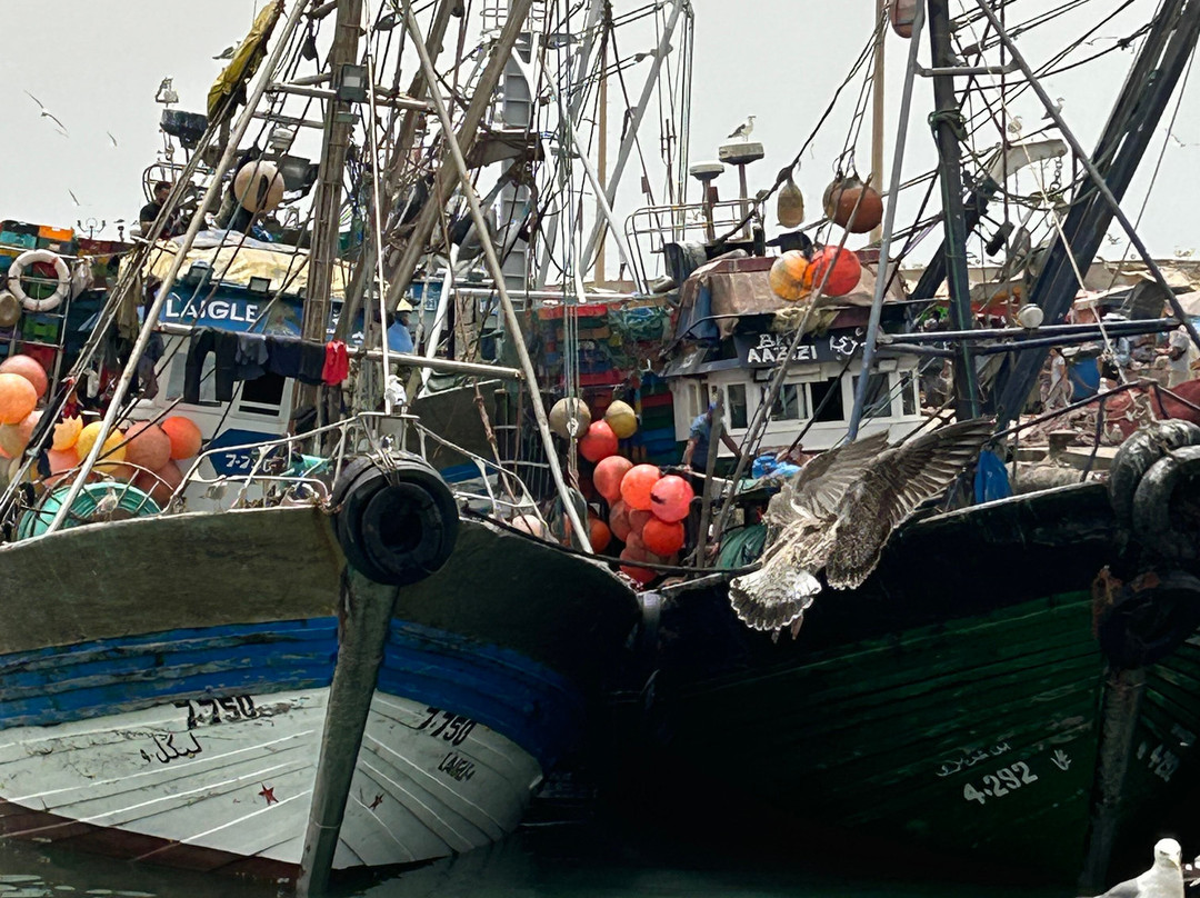 Le Souk Essaouira-索维拉必去景点