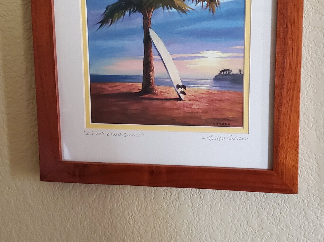 Mike Carroll Gallery-拉奈市必去景点